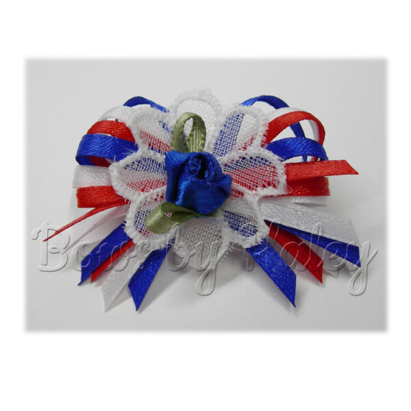 ☆Patriotic Lots-of-Loops