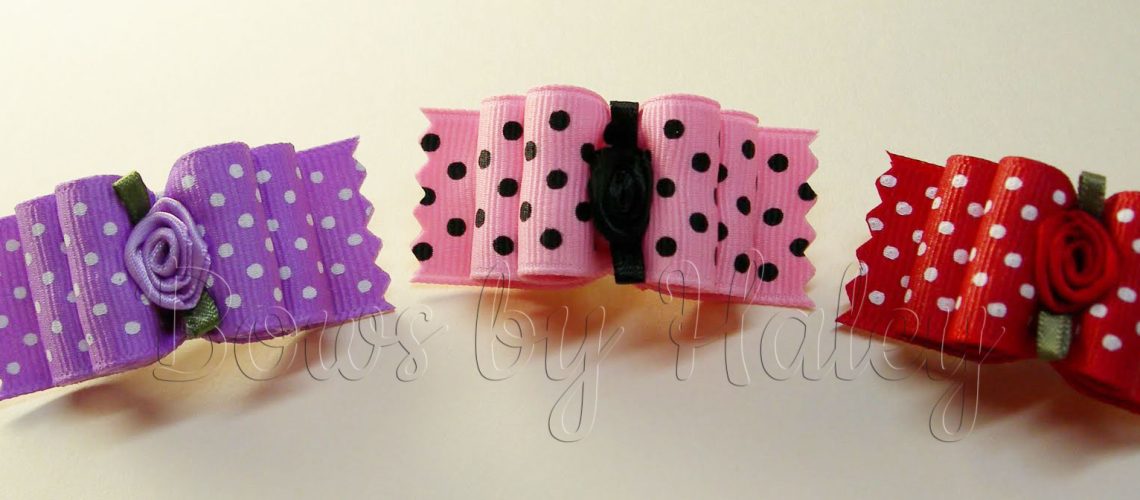 bows-031